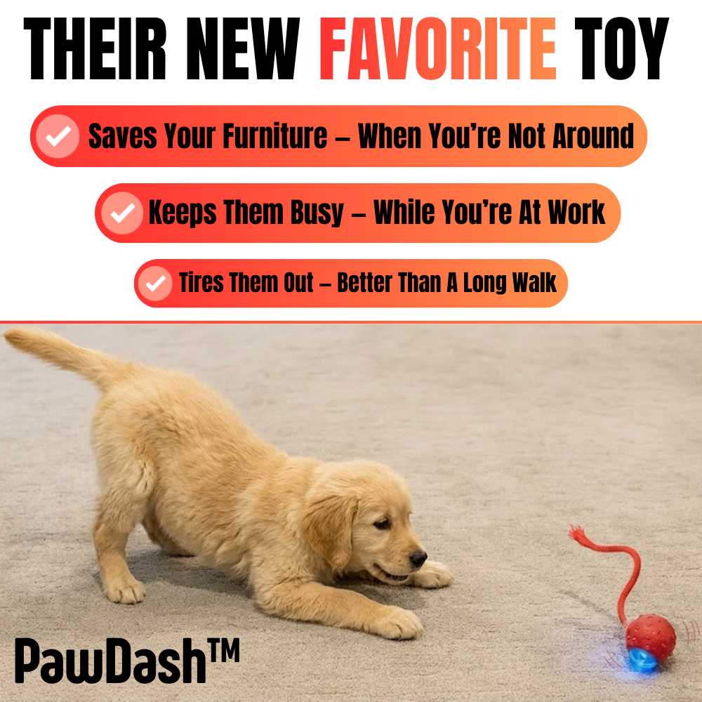 PawDash™