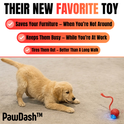 PawDash™